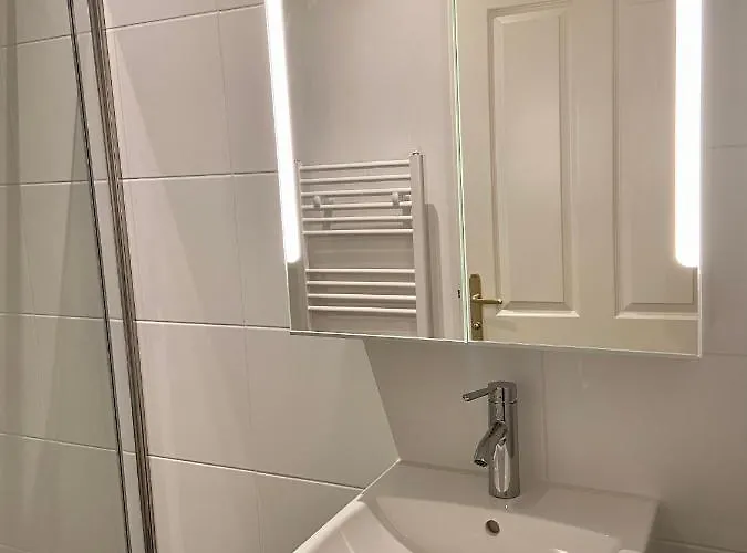 Lion's N